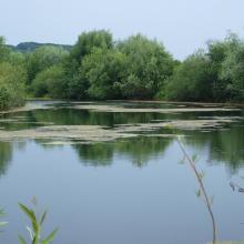 Dnister River (vicinities of the city of Halych, site “Pidkamin”)