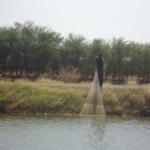 Photo 4 : Un pêcheur en pleine prise de poisson