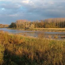 The Nyéki Holt-Duna (oxbow) at Gemenc in autumn