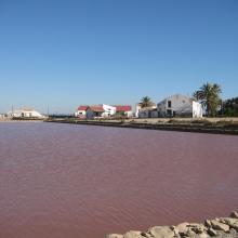 Salinas de Santa Pola. Cristalizador (laguna rosa)