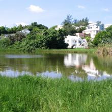 Panoramic view from the south-eastern end of Warwick Pond, Bermuda