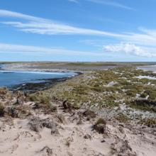 Wetland Type E - sand dunes and sandy shores