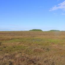 Open bog landscape with mineral islands