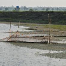 Fishing activity