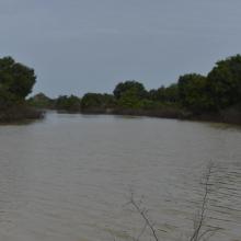 Cours d'eau dans le parc national du W