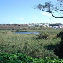 Looking to the southeast across Pembroke Marsh