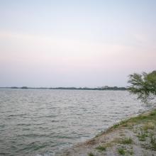 Image of the Wetland