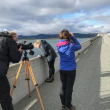 On the bridge to Tautra