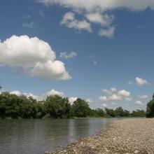 Upstream character of the Upper Tisza near the state border, with gravel shores and softwood gallery forest. 