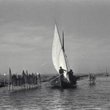 L’Albufera. Imagen de los años 50 de navegación con vela latina