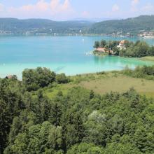 Wet forest, fen, Lake Wörthersee - aerial picture