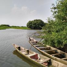 Canoe for fishing on river banks
