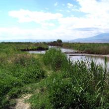 Kakhanov Canal