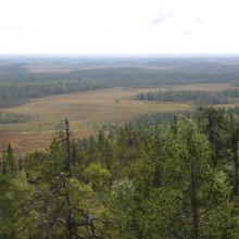 A view over the Martimoaapa mire complex.