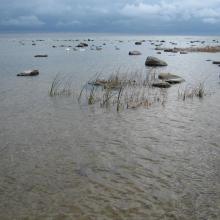 Mersrags, sea shore