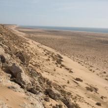 Littoral Aftissate-Boujdour: diversité des habitats et valeur paysagère (vue vers le Nord)