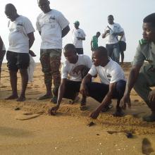 Lâcher de jeunes tortues marines à Grand-Popo