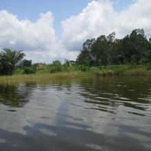 Le lac Toho Le lac Toho