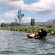 Al menos 60 miembros de las cooperativas “Pescadores de Gómez Farías” y “Pescadores del Nevado” capturan al día cuando menos dos toneladas de carpa y tilapia en la Laguna de Zapotlán, principalmente, y en menor volumen lobina y charal.