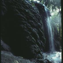 Tufa deposits at the Dales, Christmas Island. Date unknown. Tufa deposits at the Dales, Christmas Island. Date unknown.