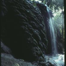 Tufa deposits at the Dales, Christmas Island. Date unknown.