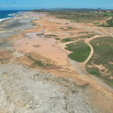The Tera Cora area has xeric landscapes and mudflats which transform yearly into a seasonal wetland. The name Tera Cora translates to Red Sand and refers to the icon red soil which covers the entire expanse.