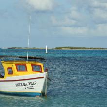 The San Nicolas Bay Reef islands in the back are breeding habitat for thousands of terns from 10 species.