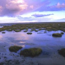 baie des veys