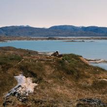 White-tailed Eagle nest overlooking the western part of the site.