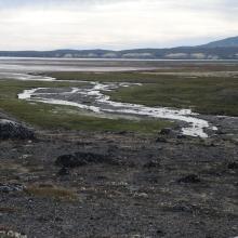 The tidal mudflats in the bay.