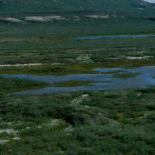 The central part of Sullorsuaq/Kvandalen.