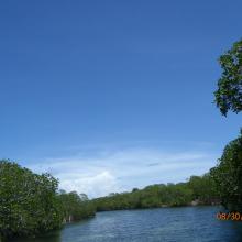 Canal del Humedal de Santa Elena