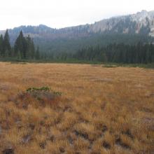 Nasskoehr the whole site is already a nationally protected area