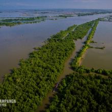 Mangrove Forest within the SPCW