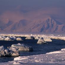 Marvågen with Protektorfjellet in the background