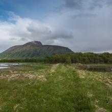 Old road leading to Knutholmen. View towards the North.