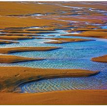 A glimpse of Minjiang River Estuary Wetland