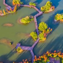 Viewing gallery in Haizhu Lake