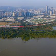 Wetland overview