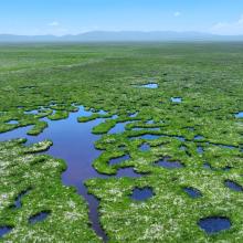 The Nilaba wetlands