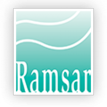 Ramsar logo